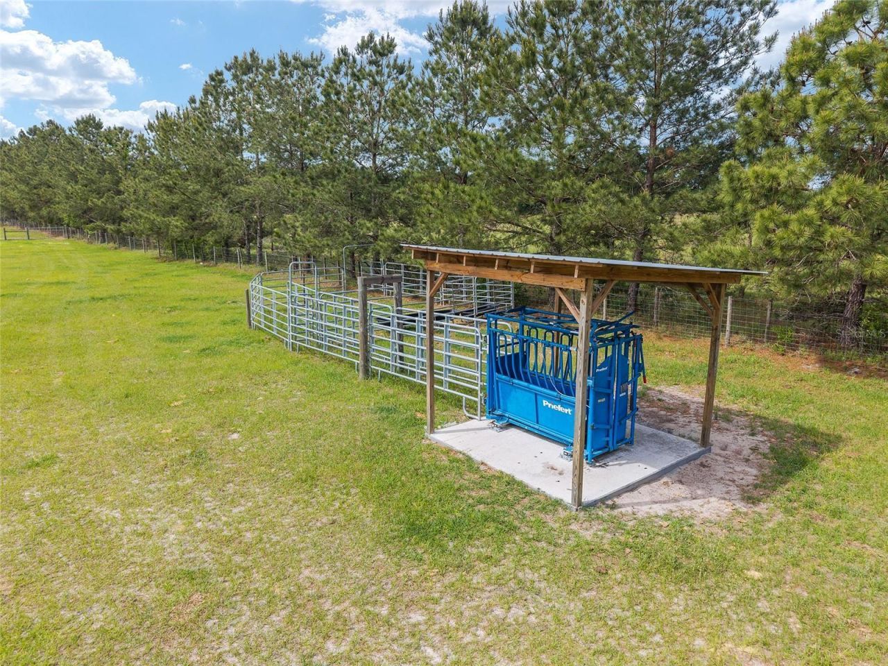 3725 172nd Street, Wellborn, FL 32094 Photo