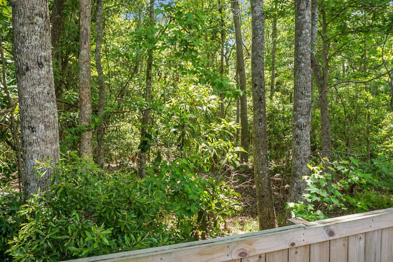 3605 Rabun Court Photo 56