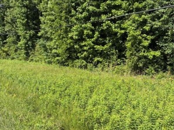 Lemon Springs Road, Sanford, NC 27332