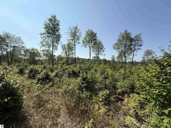 3 Kasson Road E, Maple City, MI 49664