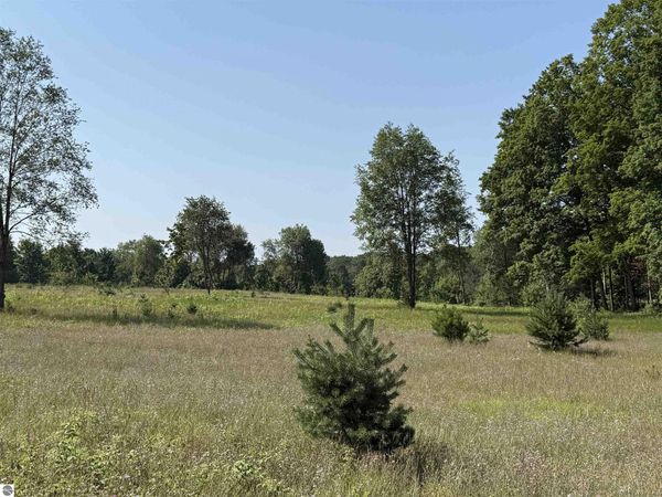 6 Bright Road S, Maple City, MI 49664