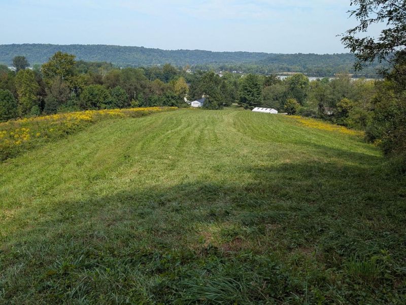 986 42E HWY, Warsaw, KY 41095 Photo 25