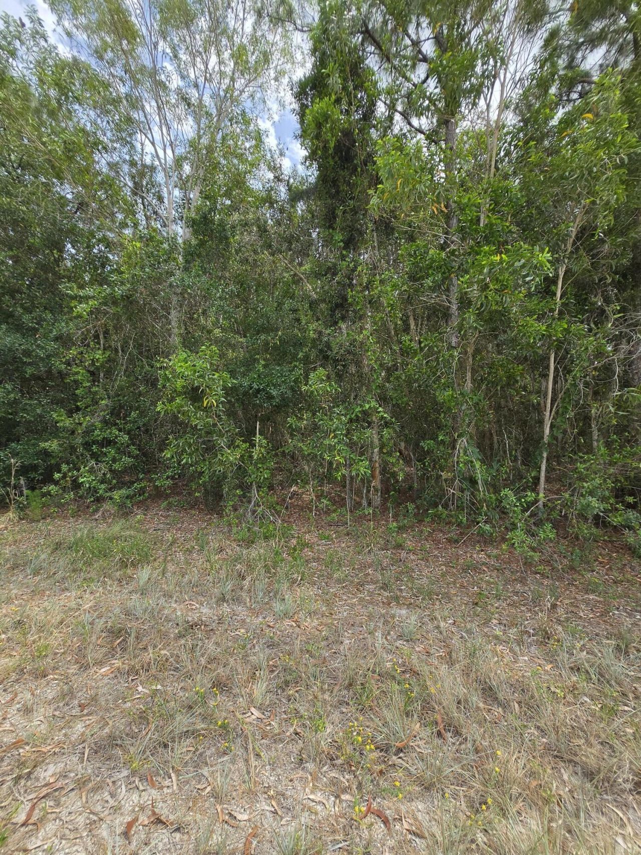 42 Nd Road N, Loxahatchee Groves, FL 33470 Photo