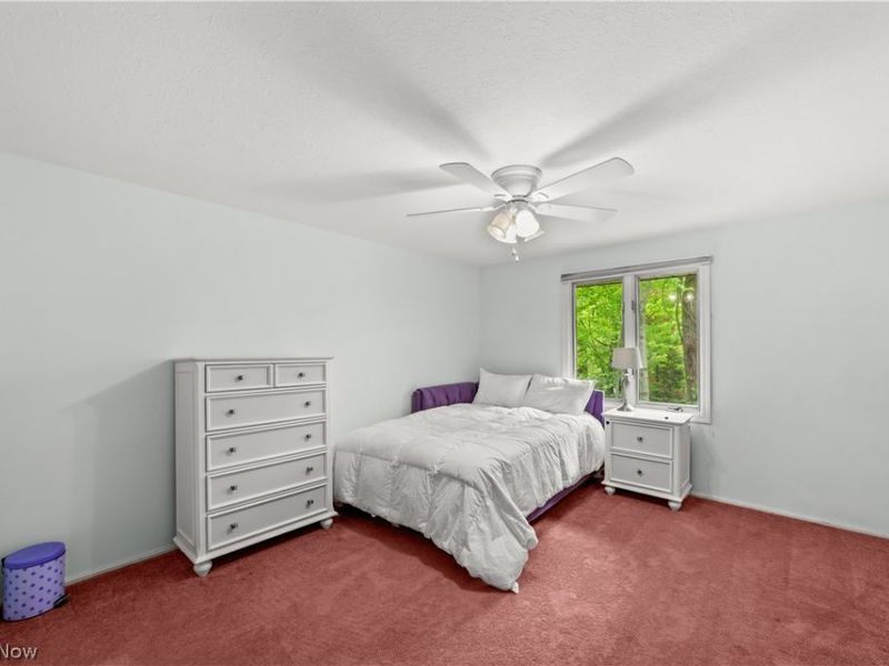 29526 Bryce Road, Cleveland, OH 44124 Photo 24