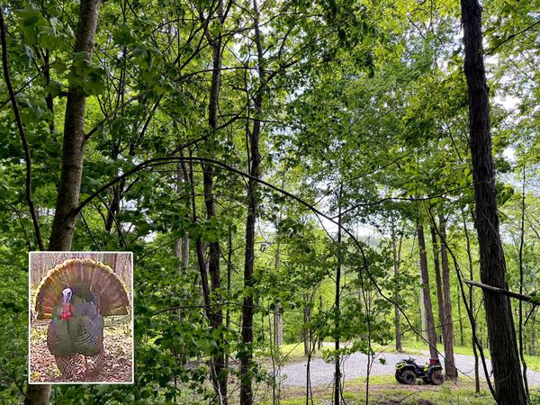 0 Little Kyger Road, Unit (Little Ky, Cheshire, OH 45620