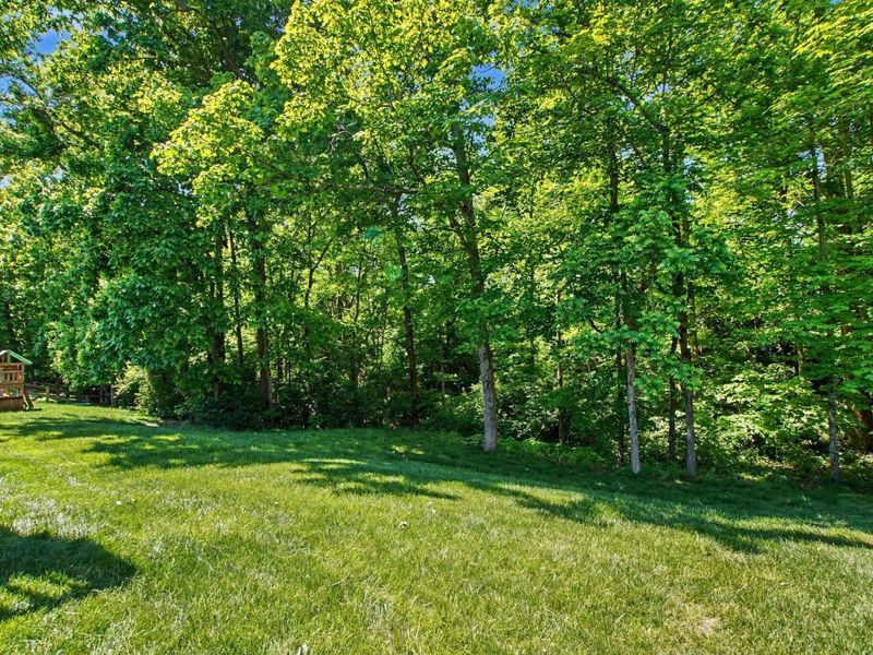3083 Silverbell Way, Independence, KY 41051 Photo 27