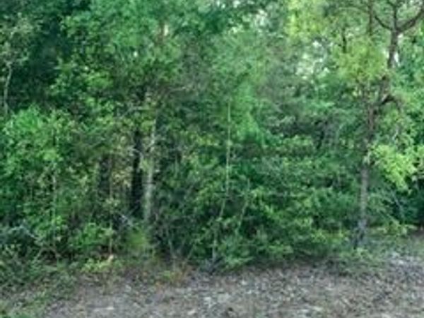 0 Gardenia Drive, Marianna, FL 32448