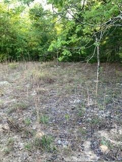 0 Gardenia Drive, Marianna, FL 32448 Photo