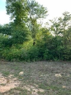 0 Gardenia Drive, Marianna, FL 32448 Photo