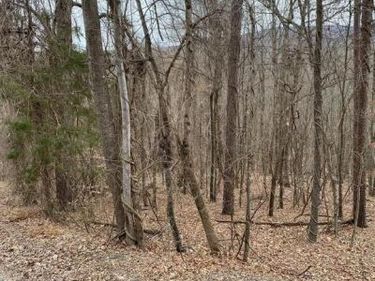 60 OLD OREGON ROAD , FRONT ROYAL, VA 22630