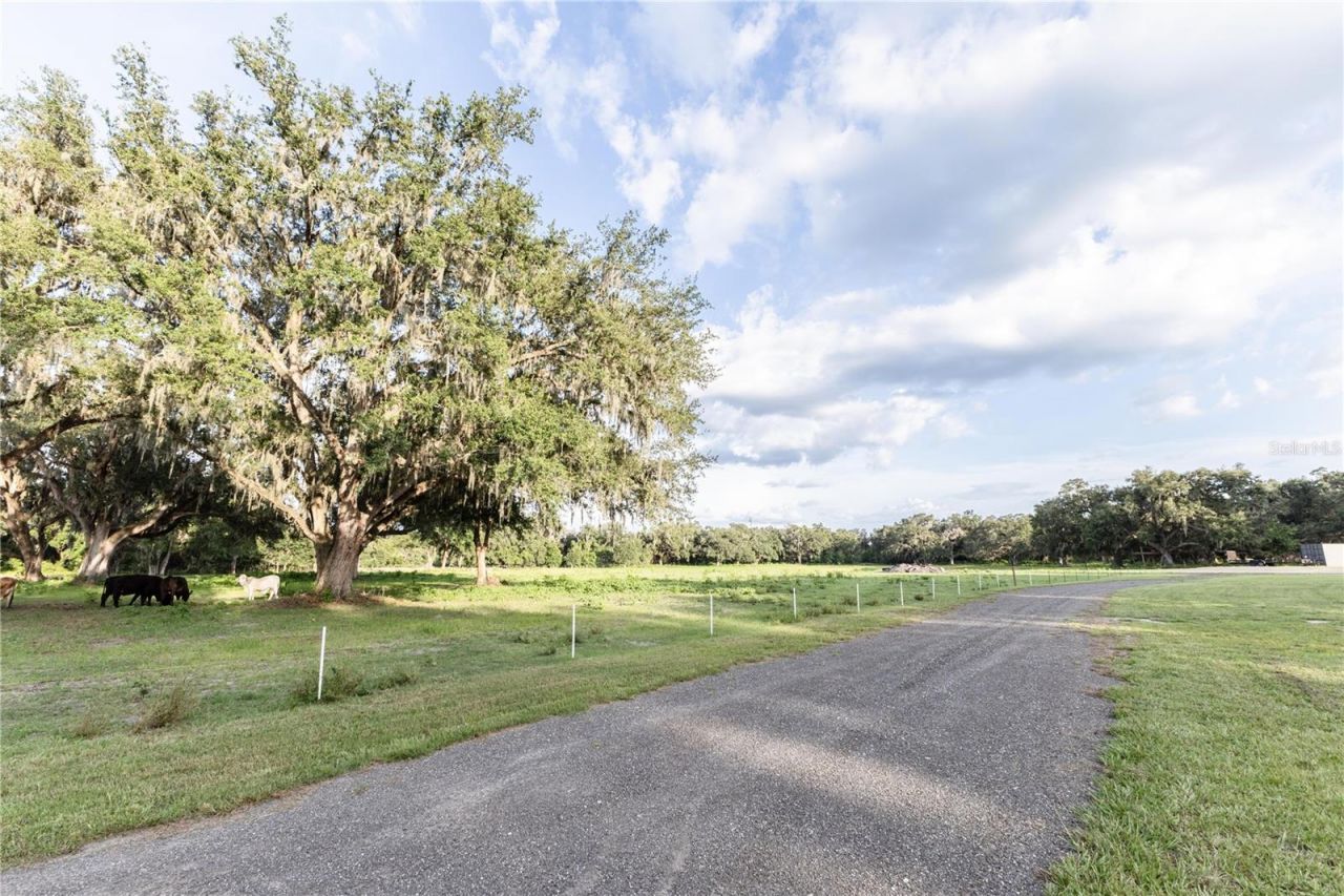 12523 Cr 721 , Webster, FL 33597 Photo