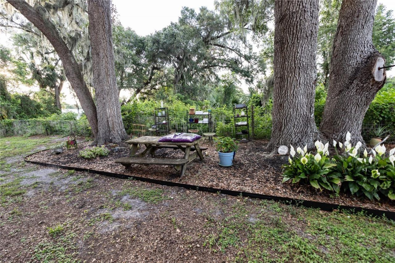 12523 Cr 721 , Webster, FL 33597 Photo