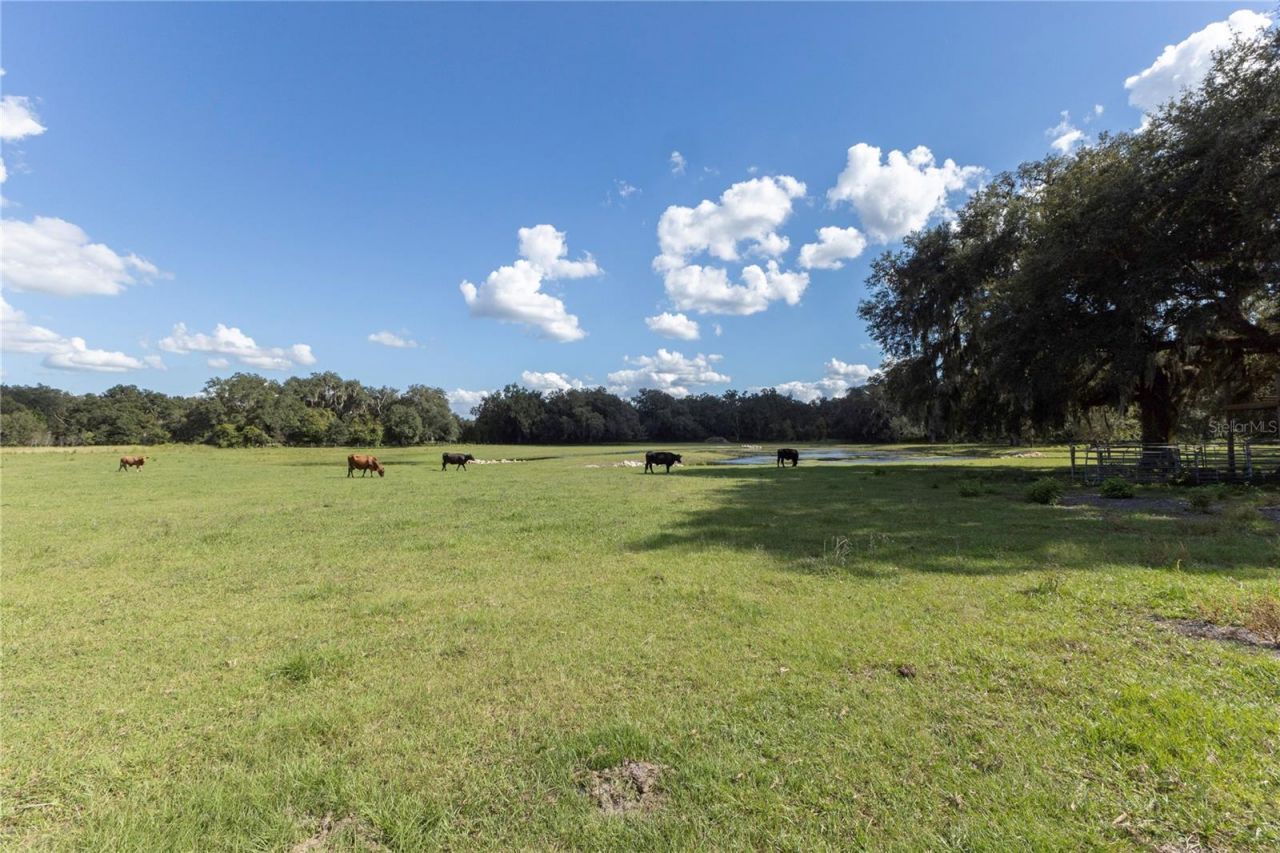 12523 Cr 721, Webster, FL 33597 Photo