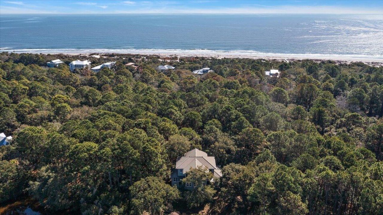 252 Pelican Flight Drive Photo 5