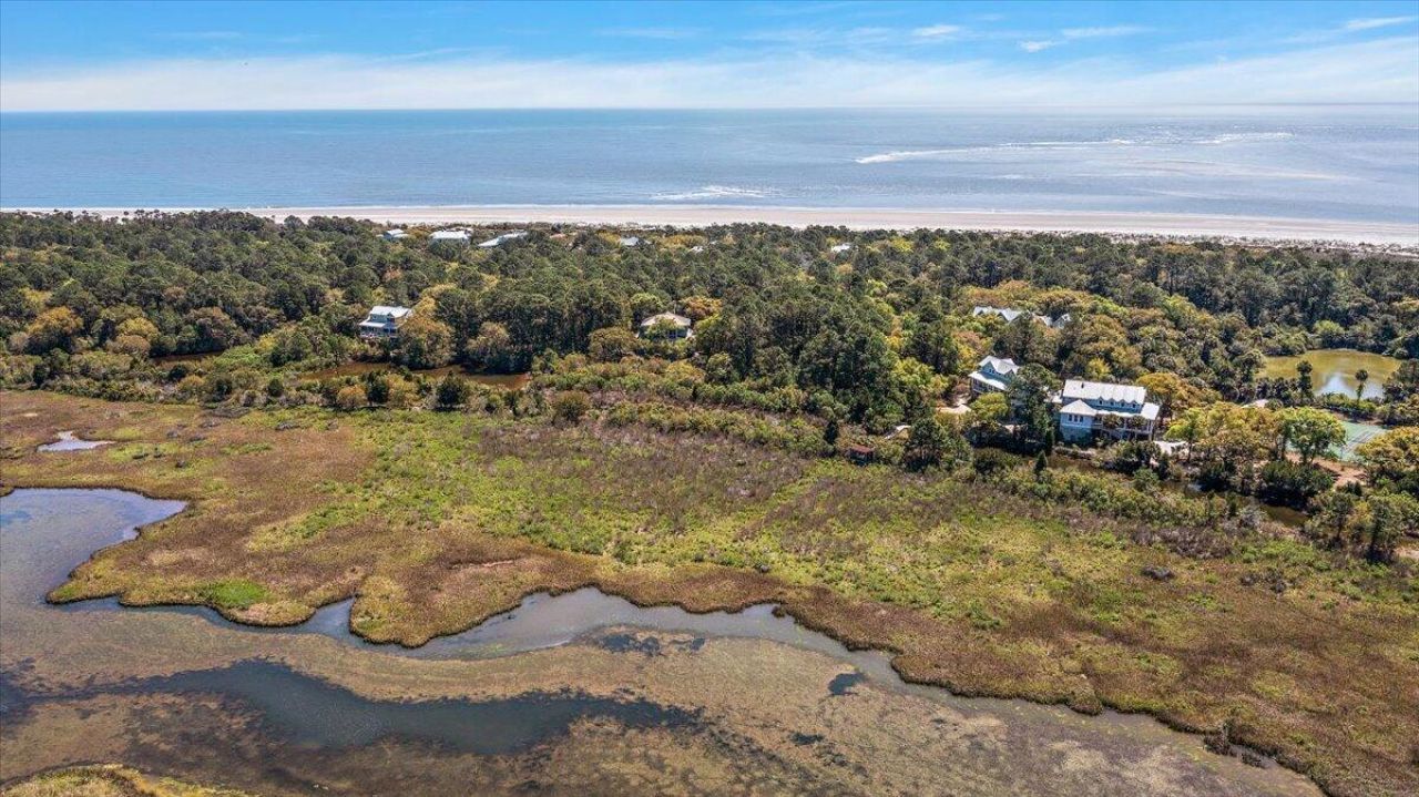 252 Pelican Flight Drive Photo 51