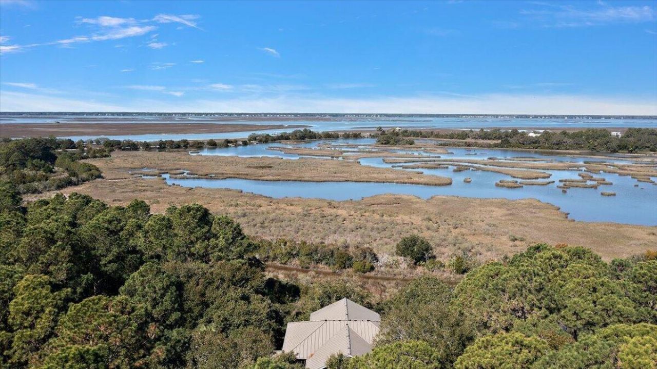 252 Pelican Flight Drive Photo 6