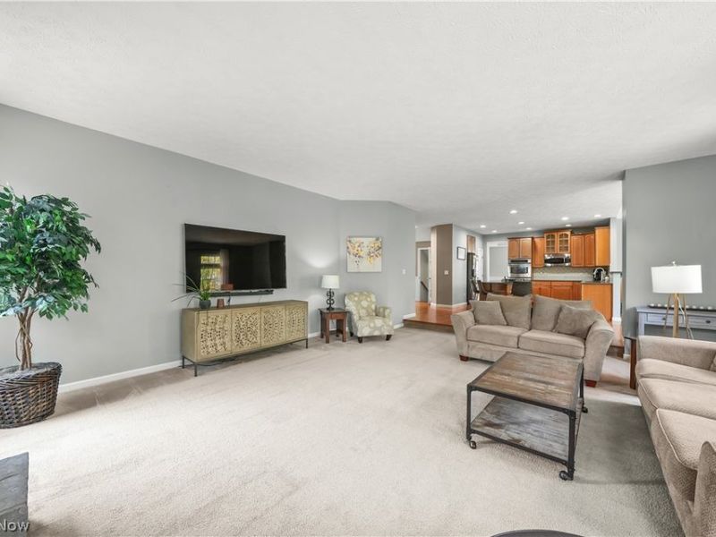 9337 Adam Run, Twinsburg, OH 44087 Photo 11