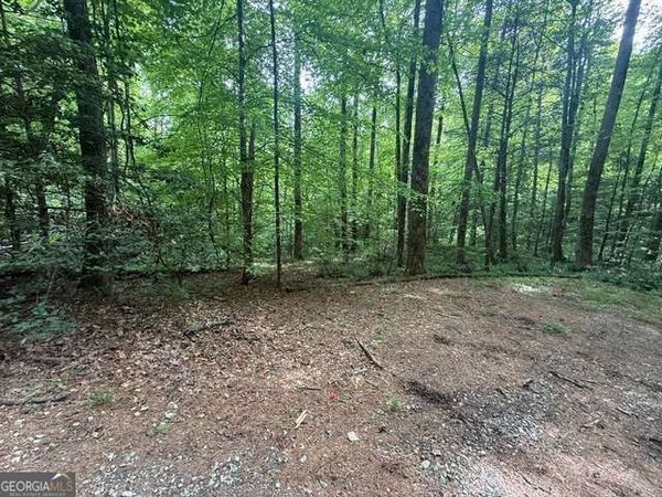 389 Fox Trot, Unit TRACT B, Clayton, GA 30525