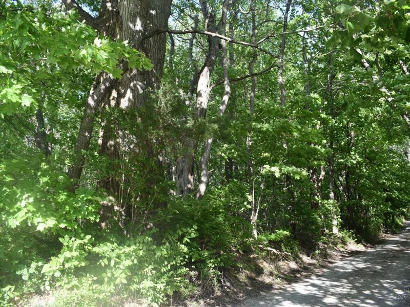 0 State Route 247, Hillsboro, OH 45133 Photo 6