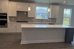 3024 River Island Way  photo 4