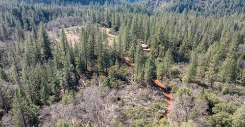 6281 Bear Creek Rd, Garden Valley, CA 95633 Photo