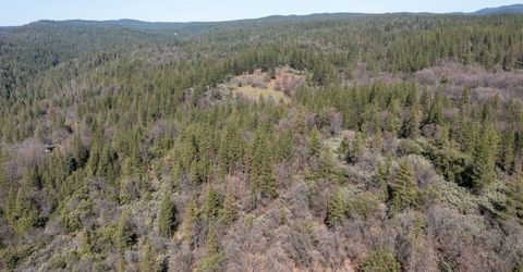 6281 Bear Creek Rd, Garden Valley, CA 95633 Photo