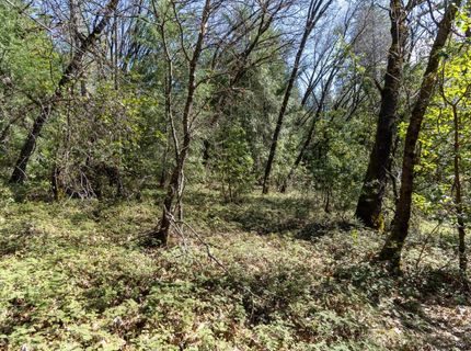 6281 Bear Creek Rd, Garden Valley, CA 95633 Photo