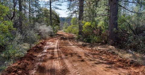 6281 Bear Creek Rd, Garden Valley, CA 95633 Photo