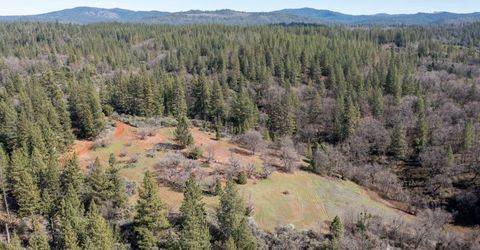 6281 Bear Creek Rd, Garden Valley, CA 95633 Photo
