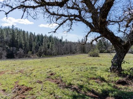 6281 Bear Creek Rd, Garden Valley, CA 95633 Photo