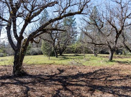 6281 Bear Creek Rd, Garden Valley, CA 95633 Photo