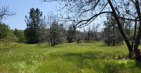 6281 Bear Creek Rd, Garden Valley, CA 95633 Photo
