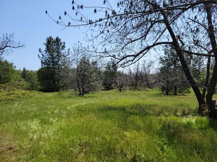 6281 Bear Creek Rd, Garden Valley, CA 95633 Photo