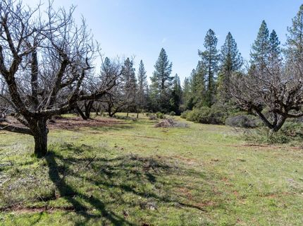 6281 Bear Creek Rd, Garden Valley, CA 95633 Photo