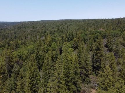 6281 Bear Creek Rd, Garden Valley, CA 95633 Photo