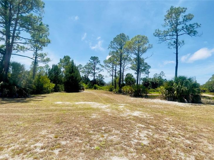 Tbd SW 101st Ln, Cedar Key, FL 32625