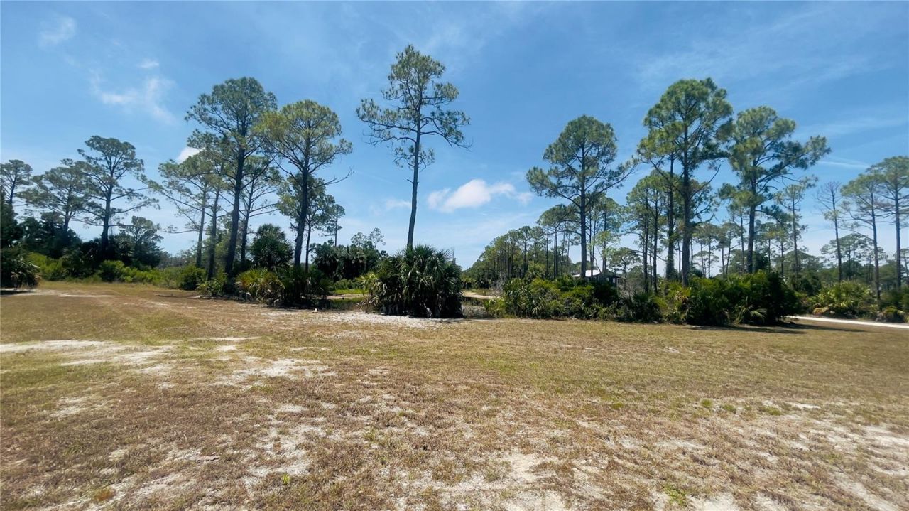 Tbd SW 101st Ln, Cedar Key, FL 32625 Photo