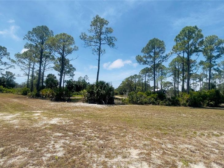 Tbd SW 101st Ln, Cedar Key, FL 32625
