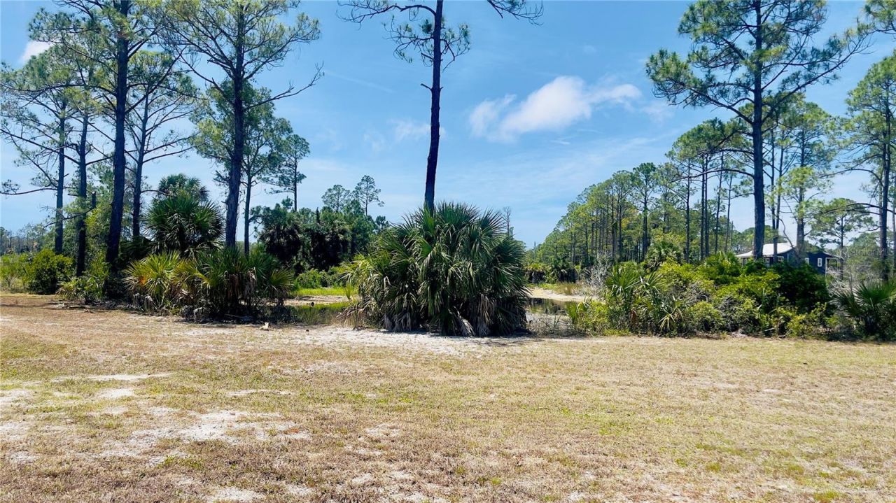 Tbd SW 101st Ln, Cedar Key, FL 32625 Photo
