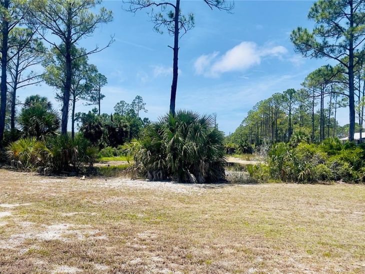 Tbd SW 101st Ln, Cedar Key, FL 32625