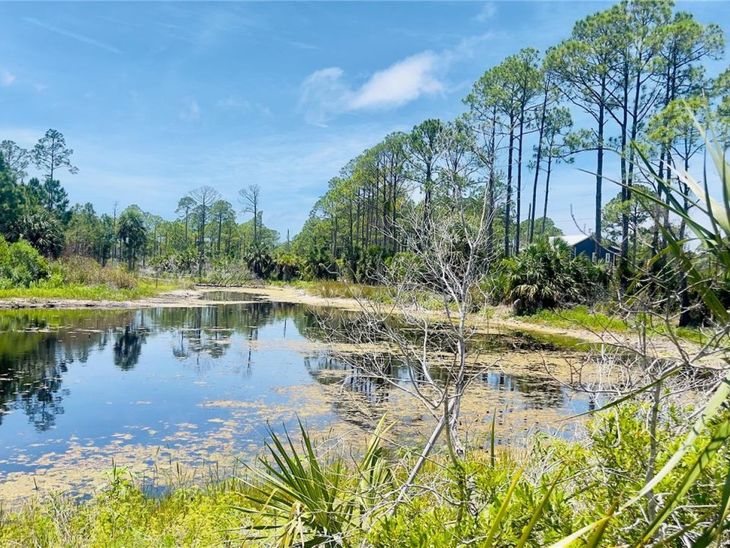 Tbd SW 101st Ln, Cedar Key, FL 32625