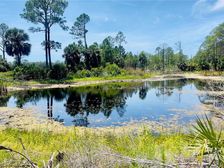 Tbd SW 101st Ln, Cedar Key, FL 32625