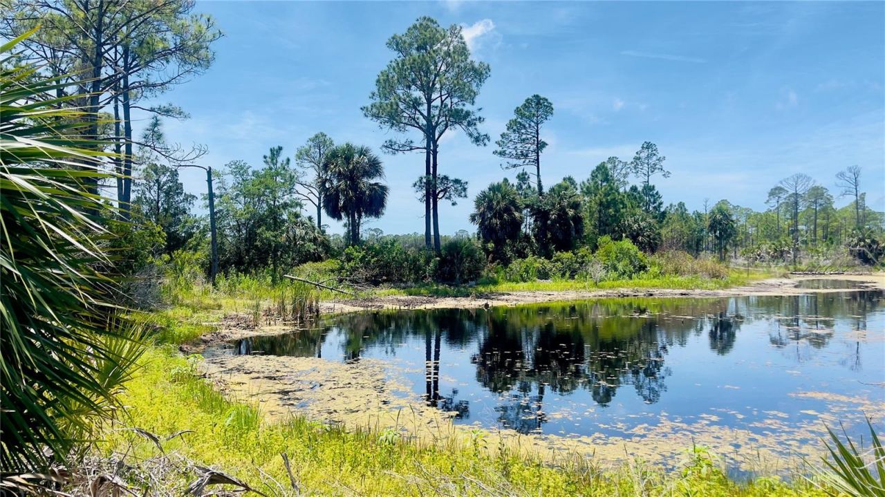 Tbd SW 101st Ln, Cedar Key, FL 32625 Photo