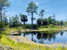 Tbd SW 101st Ln, Cedar Key, FL 32625