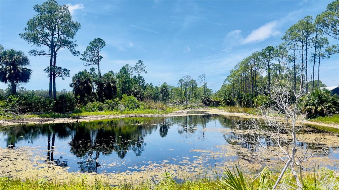 Tbd SW 101st Ln, Cedar Key, FL 32625 Photo