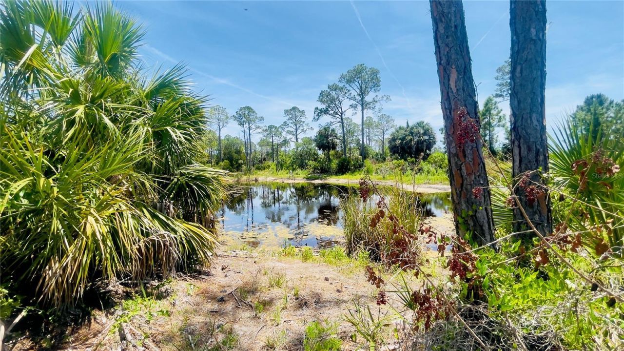 Tbd SW 101st Ln, Cedar Key, FL 32625 Photo