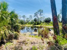 Tbd SW 101st Ln, Cedar Key, FL 32625