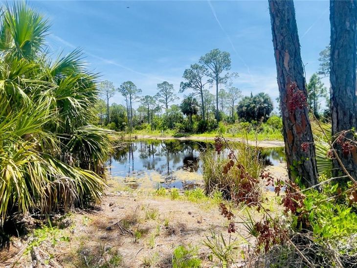 Tbd SW 101st Ln, Cedar Key, FL 32625