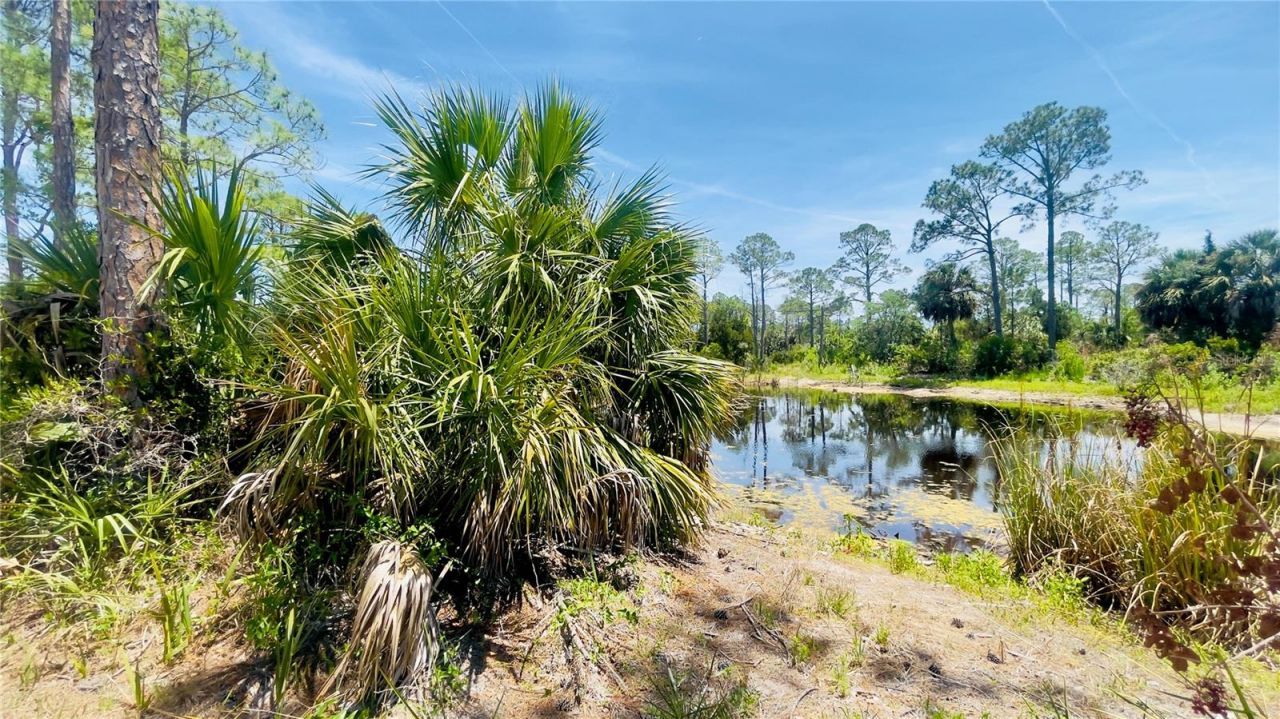 Tbd SW 101st Ln, Cedar Key, FL 32625 Photo