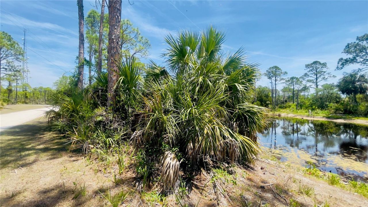 Tbd SW 101st Ln, Cedar Key, FL 32625 Photo